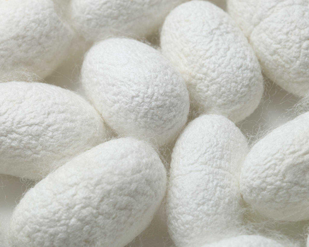 Silk eggs